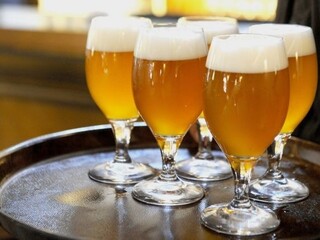 pivo (TASR)